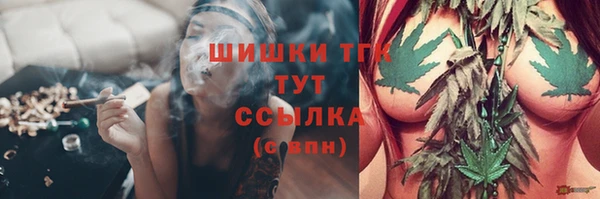 сатива Абаза