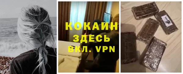 сатива Абаза