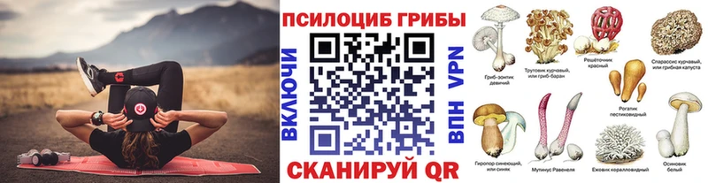 Галлюциногенные грибы Psilocybine cubensis  Кирсанов 